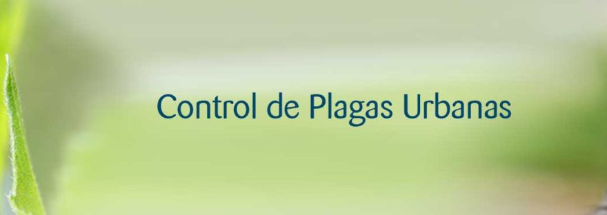 Empresa de control de plagas en Torrelodones