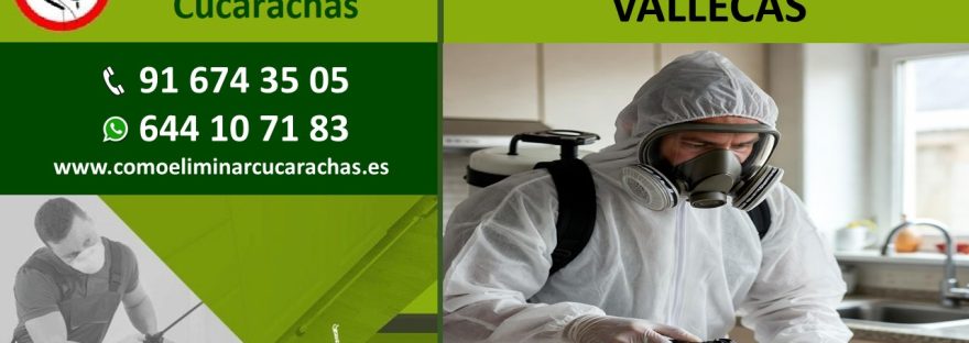 CONTROL DE PLAGAS EN VALLECAS