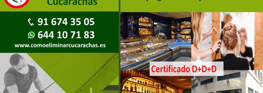 Certificado homologado control de plagas en Arroyomolinos