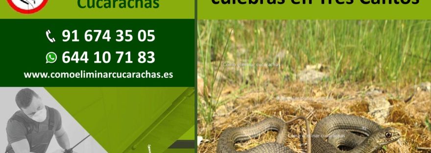 Control de plagas de culebras en Tres Cantos