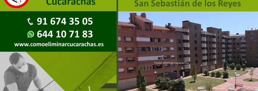 Control de plagas para comunidades de vecinos en San Sebastián de los Reyes