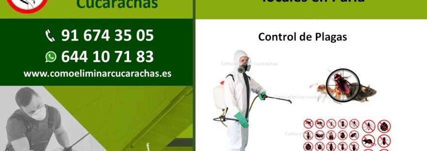 Control de plagas para locales en Parla