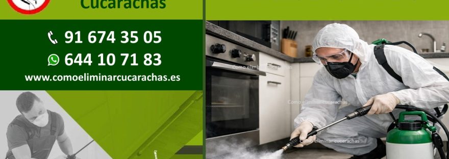 EMPRESA CONTROL DE PLAGAS EN SAN BLAS