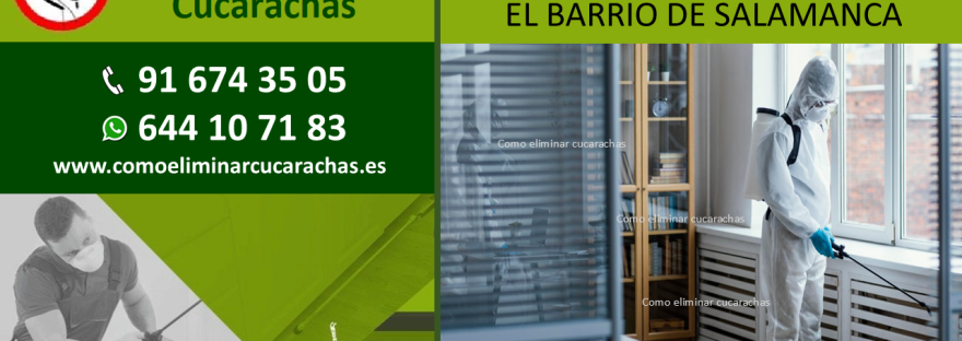 EMPRESA DE CONTROL DE PLAGAS EN EL BARRIO DE SALAMANCA