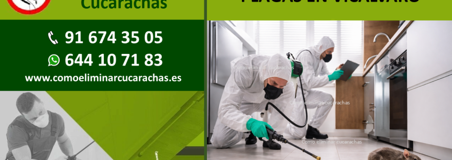 EMPRESA DE CONTROL DE PLAGAS EN VICÁLVARO