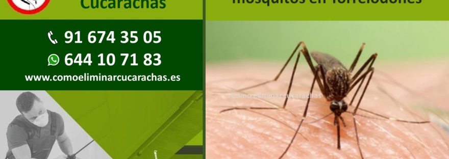 Empresas control de plagas de mosquitos en Torrelodones