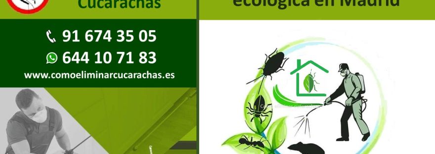 Empresas de fumigación ecológica en Madrid