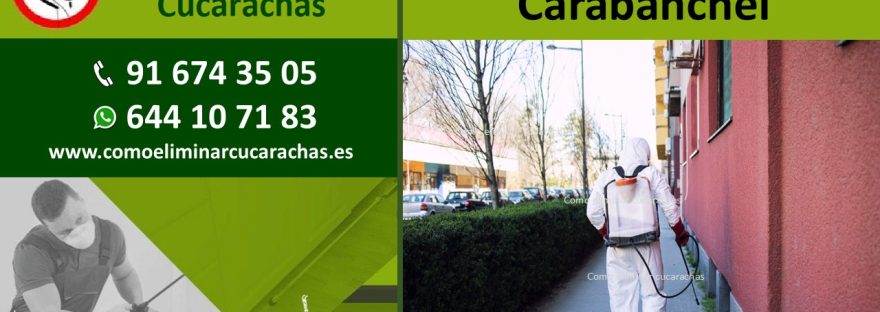 Fumigadores en Carabanchel