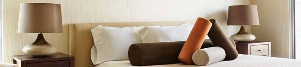Control de Plagas en Hoteles Pensiones y Albergues