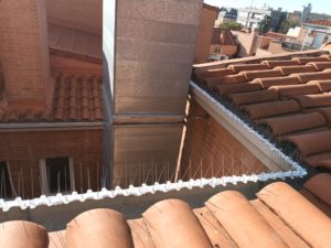 Presupuesto control de Plagas de Palomas en Alcobendas