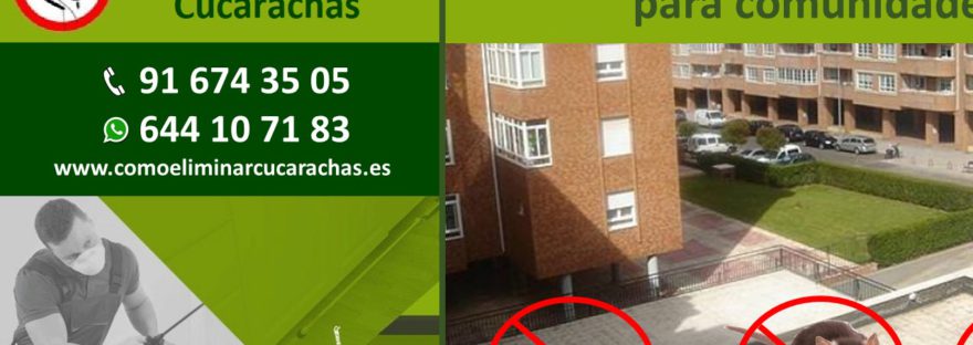 Certificado homologado control de plagas en Madrid