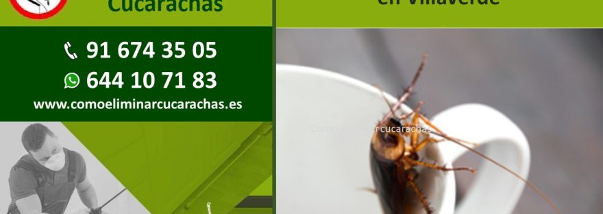 control de plagas de cucarachas en Villaverde