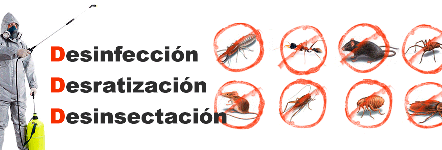 EMPRESA DE CONTROL DE PLAGAS EN MÓSTOLES