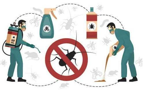control de plagas en Villaverde