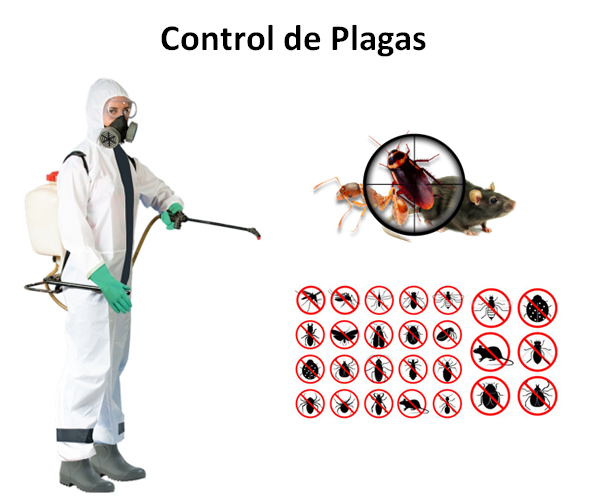 Control de plagas para locales en Parla