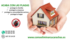 Empresa Control de Plagas en Torrejón de Ardoz