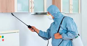 Servicios de Desinfección Covid19 en Alicante