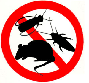 Control de plagas en Aranjuez
