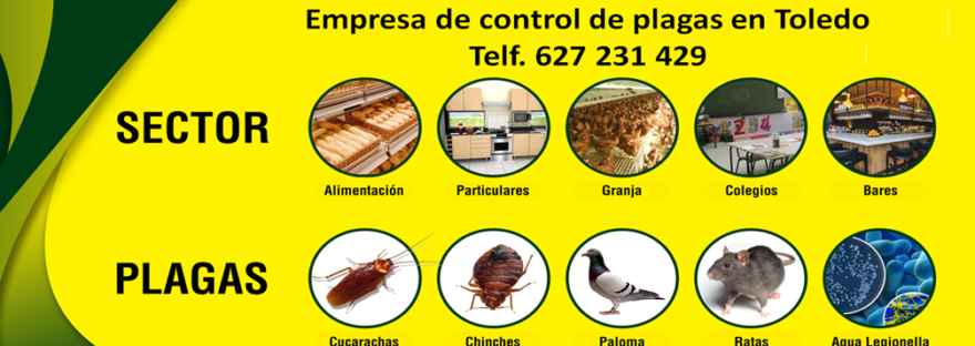 Empresa de connrol de plagas en Toledo